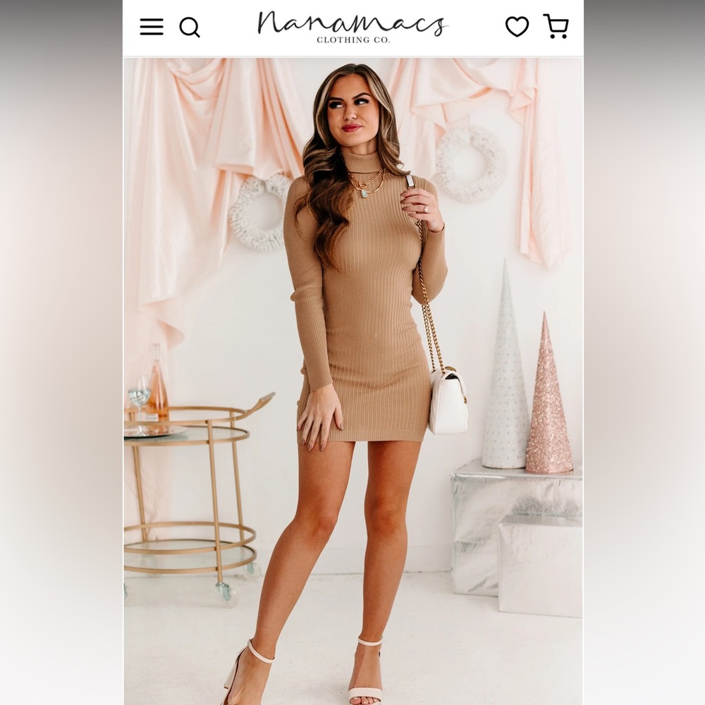 Wise Decision Turtle Neck Long Sleeve Mini Dress